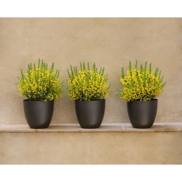 PLASTIKEN Blomkruka skål Tes - 22 cm - Vit