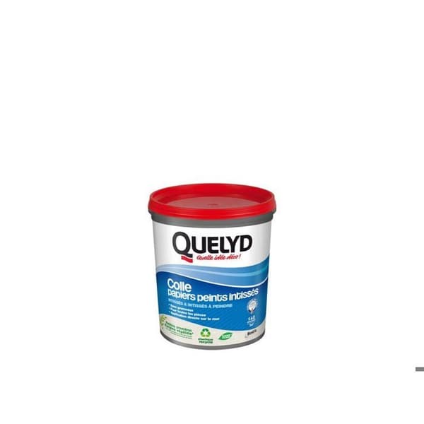 Koll Pate tapetlim intissé QUELYD, 1 kg