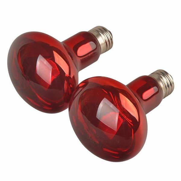 Infraröda värmelampor - LUCKY HERP - E27 - 50W - 2-pack - Förbättrad nattsyn