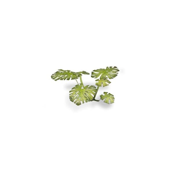 Gamers Grass Laser Växter Monstera