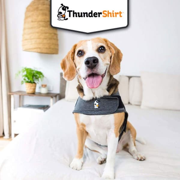 Avslappnande väst för hundar - ThunderShirt - Storlek XL - Grå