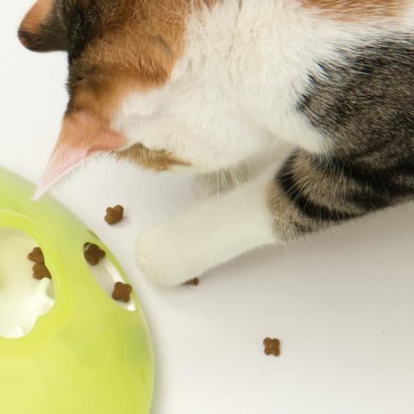 CAT IT Play Treat Spinner - För katter