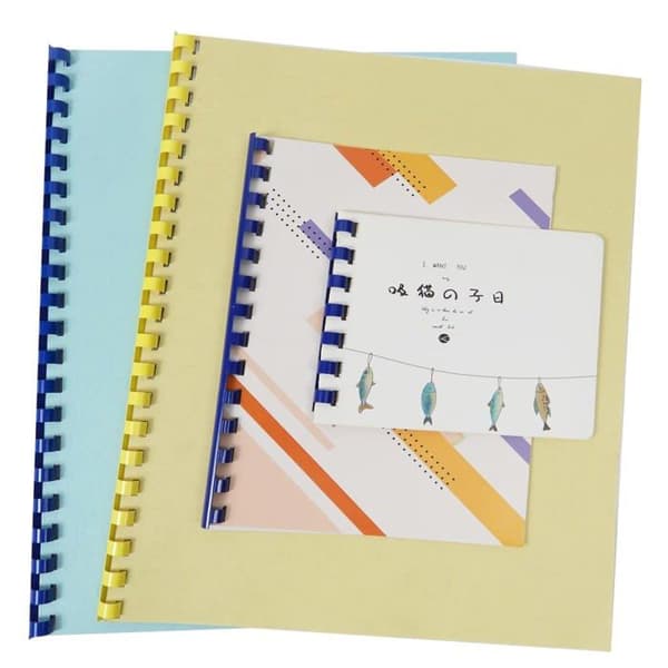 PVC-bindningskam RAYSON transparent 12 mm - 100 st, för 2–90 ark (30 cm, 21 ringar)