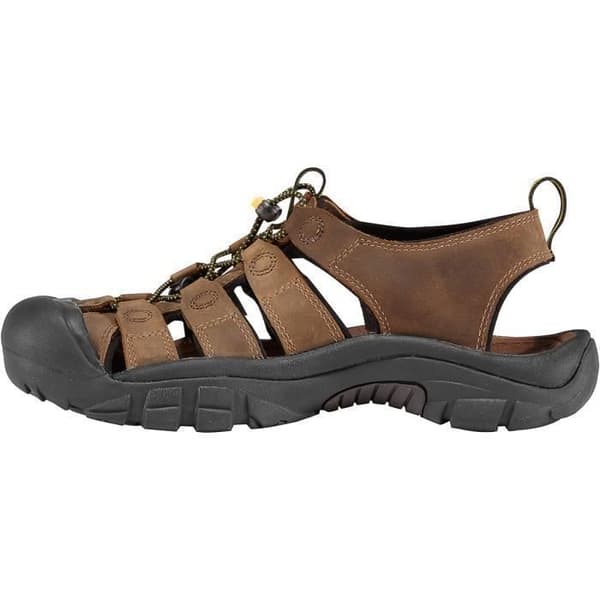 Keen Men Newport bison