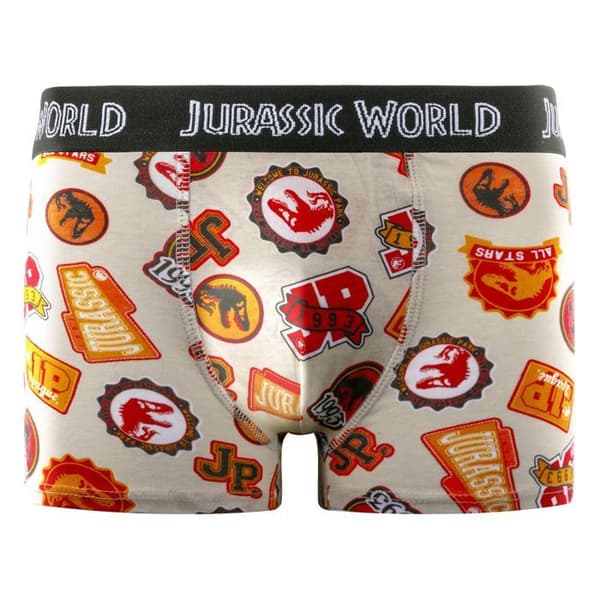 4-pack kalsonger 100% bomull pojke Jurassic Park