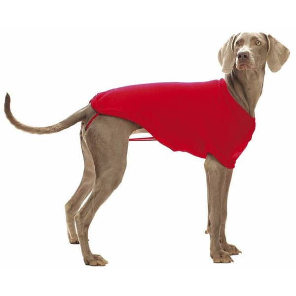 Pull för hund - CROCI - Seville C7074787 - Röd - Rullkrage - 45 cm