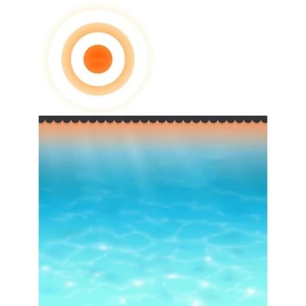Poolskydd - vidaXL - 400 x 200 cm - Svart - PE - Rektangulär