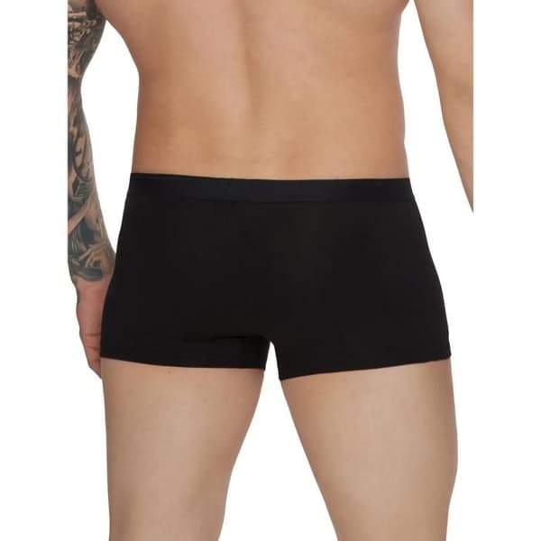 Boxer Lisca Hermes (x2)