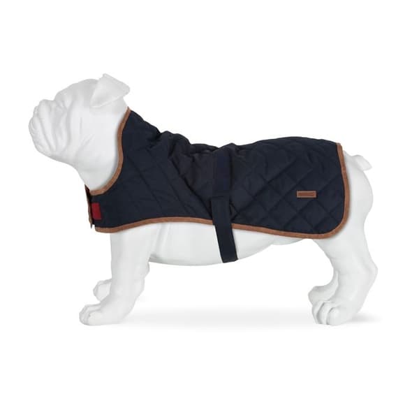 Regatta Odie hundmantel - Blå - S