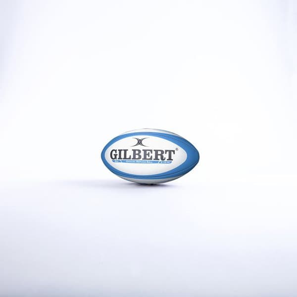Pumas rugbyboll
