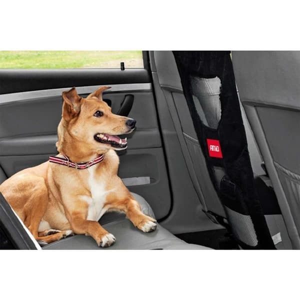 Hundbarriär mellan bilstolar AMIO-02569