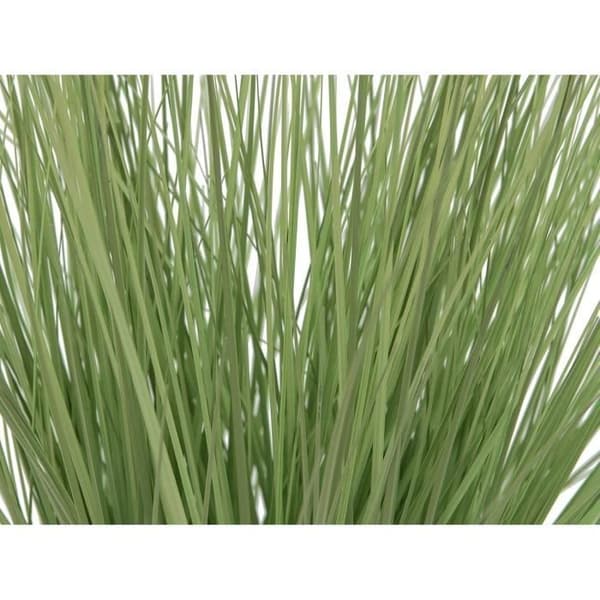 Europalms 82600145 Prydnadsgräs, 65 cm