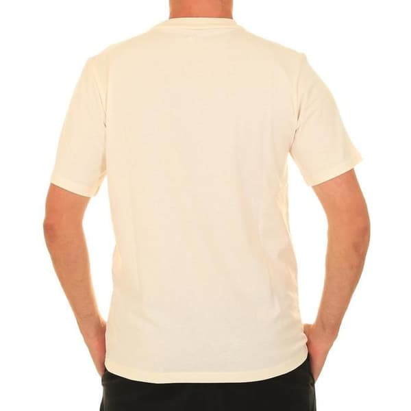 T-shirt Ecru Herr Converse Large