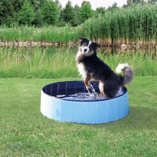 TRIXIE Hundpool 70x12 cm Blå