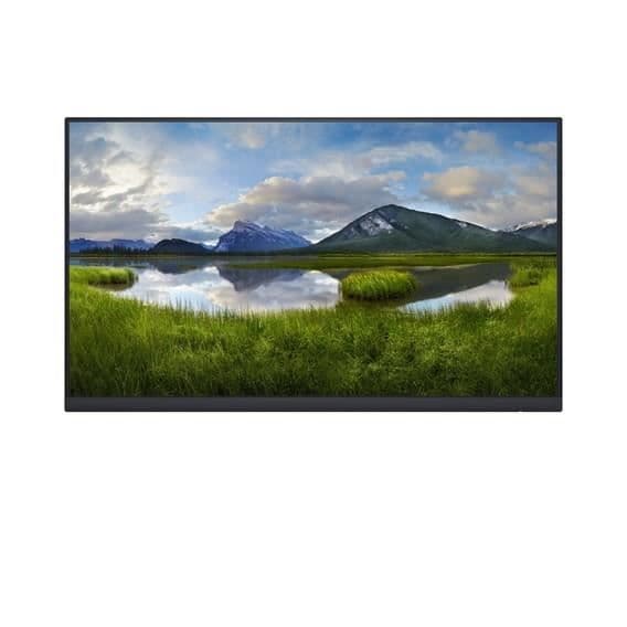 24 MNTR P2422H INGEN STÄLL 60,5 CM DELL-P2422HWOS