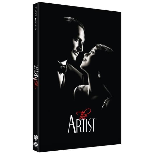 DVD Konstnären
