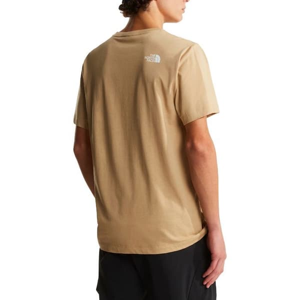The North Face T-shirt Evolution Half Dome Beige - NF0A8B6JLK5