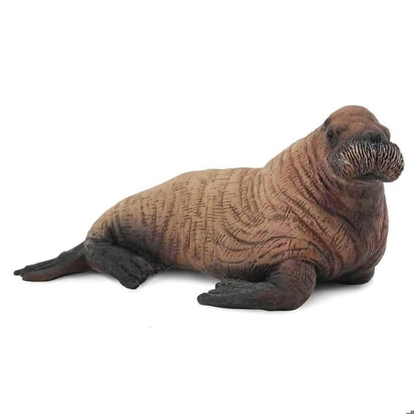 Figuriner havsdjur: Babymarsvin