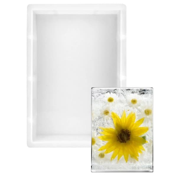 Multi-användning silikonform QWORK 24,5×17×5 cm (tårtform / resin) WD9583
