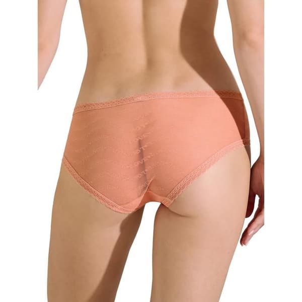 Shorty dam Lisca Honey