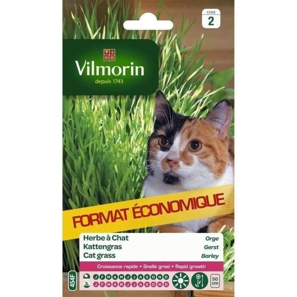 VILMORIN Påse kattmynta frön Korn