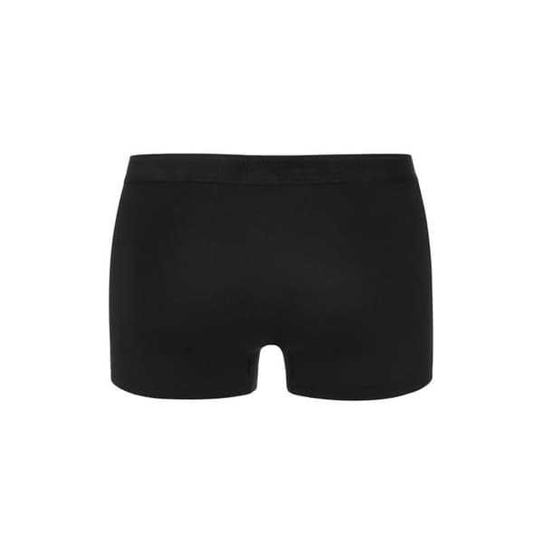 Boxer Lisca Hermes (x2)