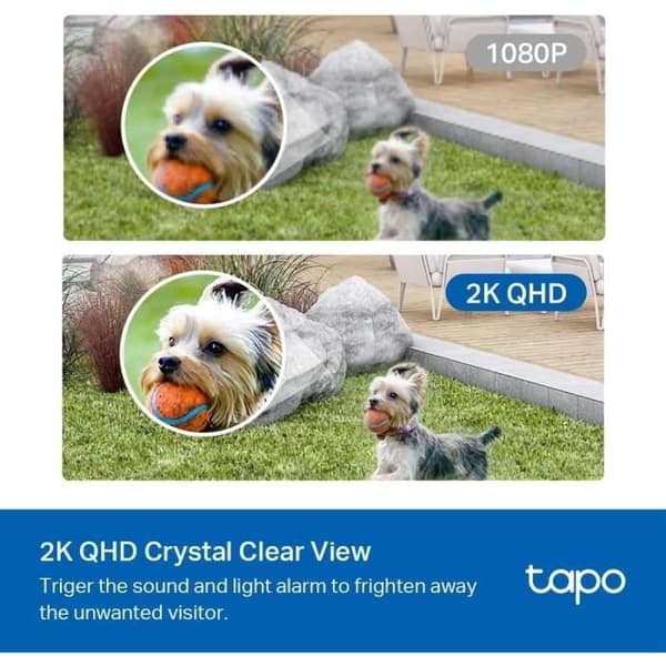 TPLINK Tapo C420S1 V1