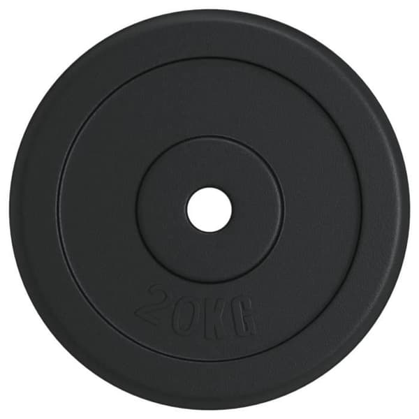 93643 vidaXL Viktplatta 20 kg Gjutjärn