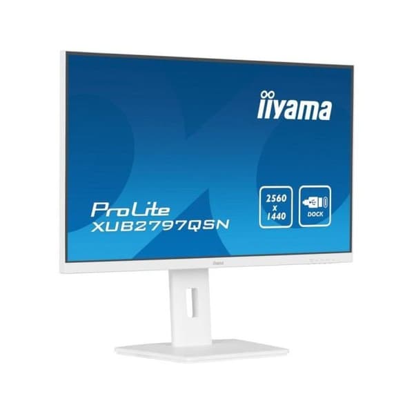 IIYAMA Namn: iiyama G-MASTER X