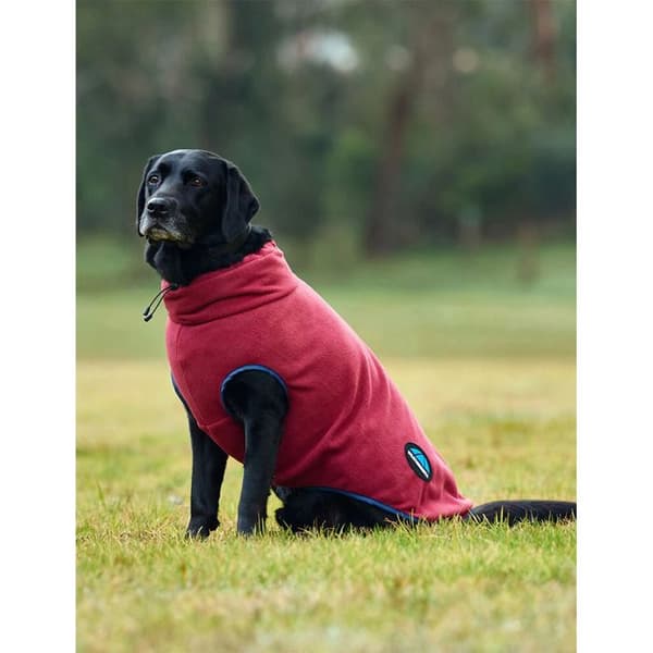 Weatherbeeta Comfitec zip-up hundfleece - Röd - 30 cm