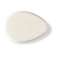 Oval Yukilon svamp