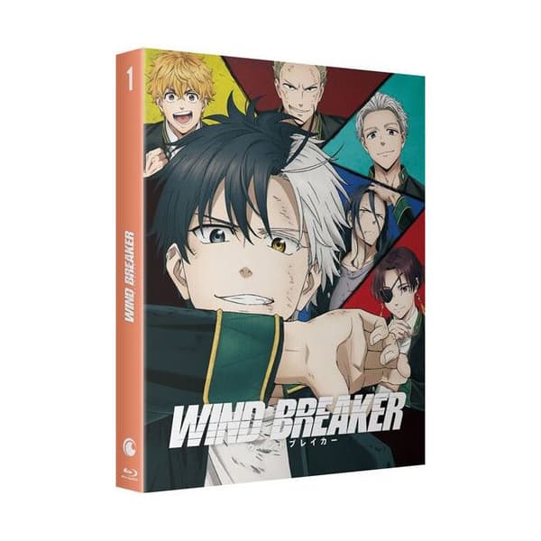 Wind Breaker Säsong 1 Blu-ray