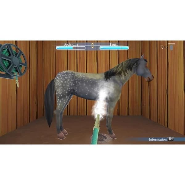My Life With Horses PS4-spel