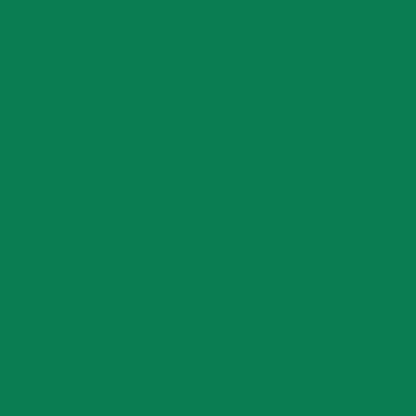 Kulspenna - Grön - Metall - Medium spets - Caran d'Ache - 849