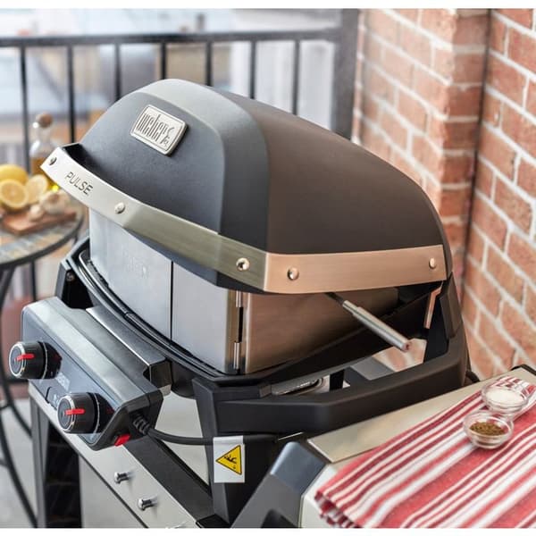 Grillspett för Weber Pulse elektrisk grill