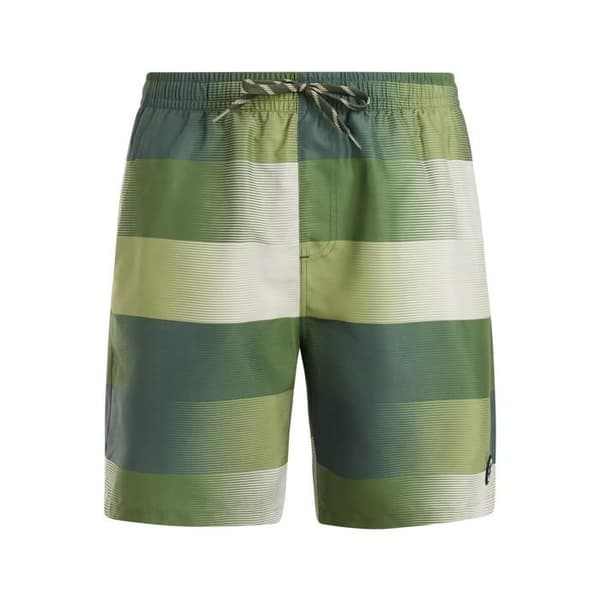 Protest Lomond badshorts