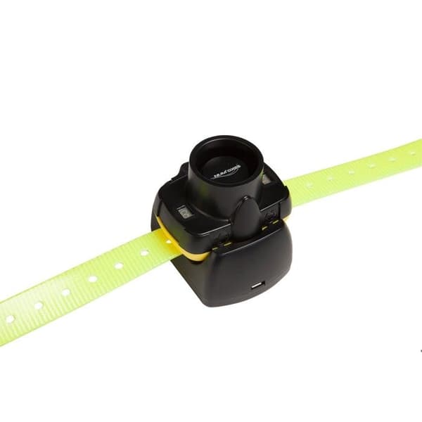 Collier de repérage beeper Canibeep 5