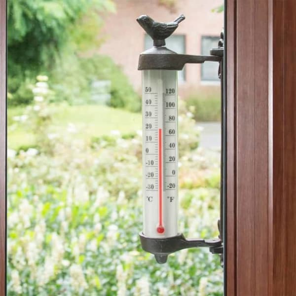 Esschert Design Väggtermometer Gjutjärn Brun BR20