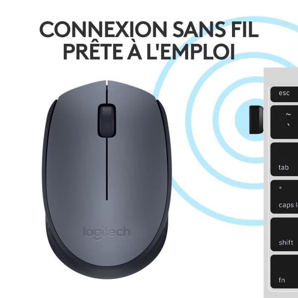 Mus - Trådlös - Logitech - M170 - Grå - Ambidextrös