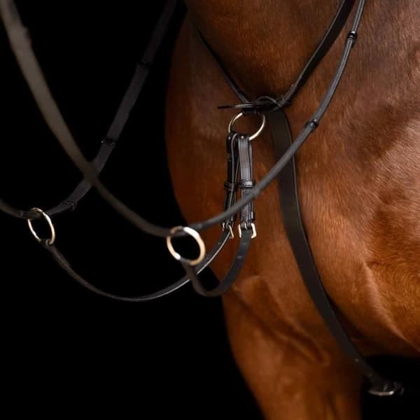 Martingale för hästar Imperial Riding Core - svart - Full
