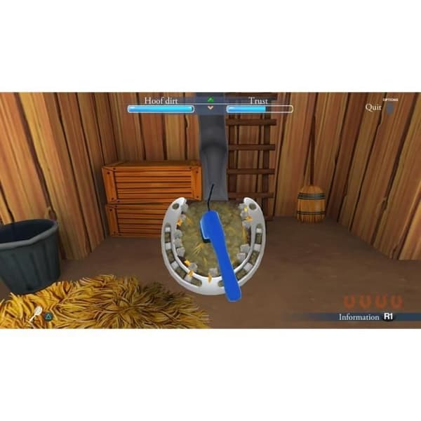 My Life With Horses PS4-spel