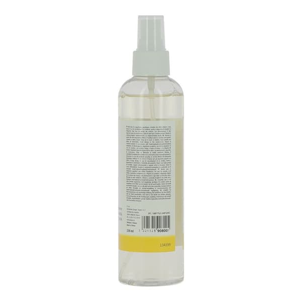 LUFTSPRAY CARLINEA VANILLA GM