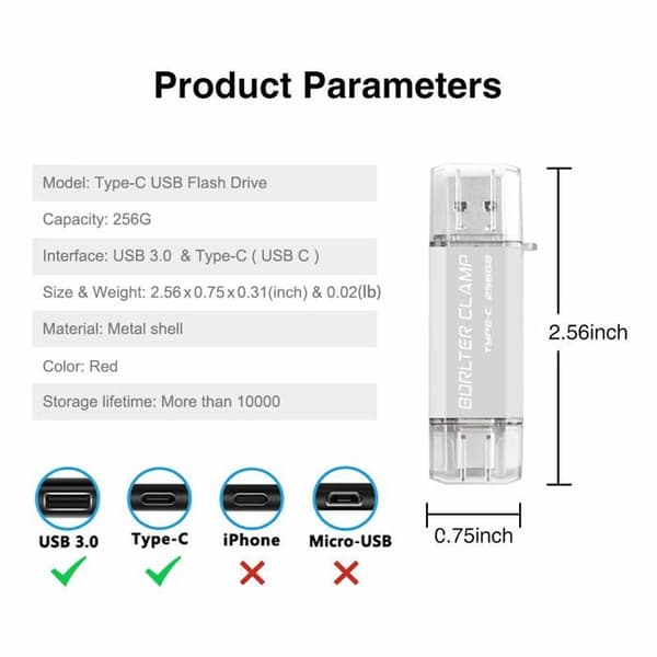 USB-minne Borlter klämma - TGX typ-c silver 256gb