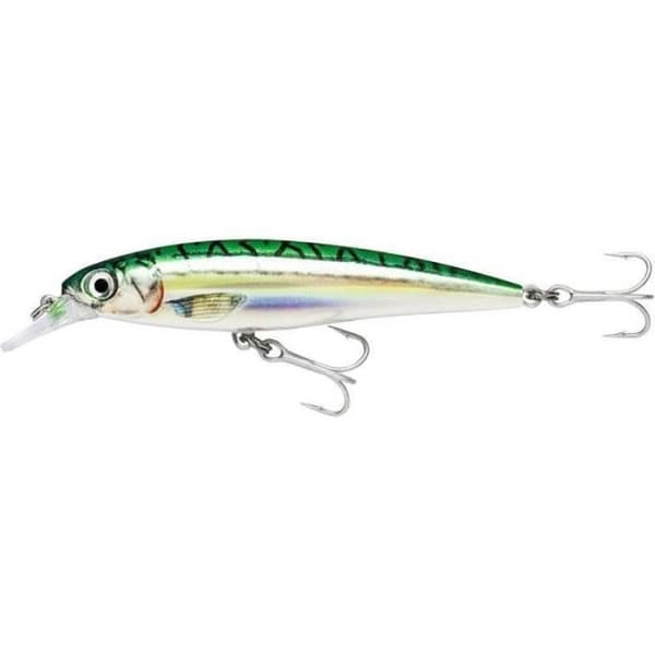 SUSPENDING LURE RAPALA SALTWATER X-RAP - 12CM12GM0