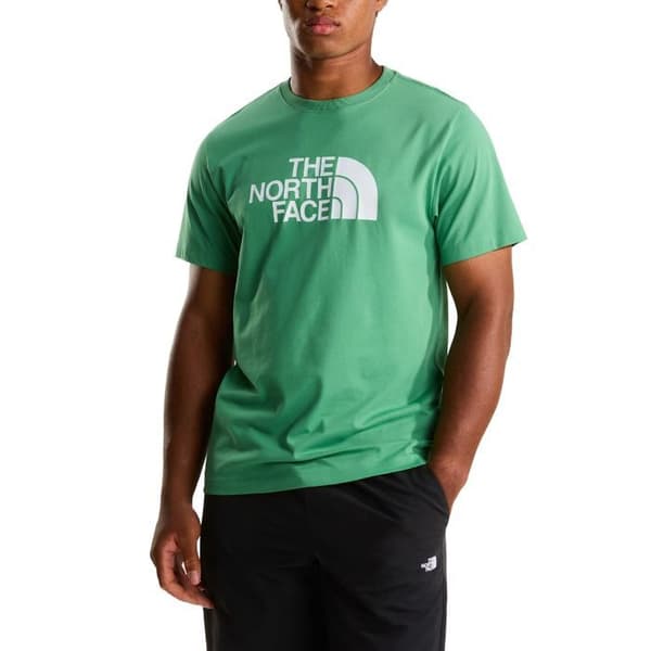 The North Face T-shirt Evolution Half Dome Vert - NF0A8B6JG57