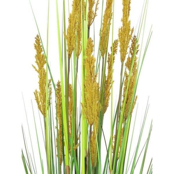 GRÄS Papegoja 120cm