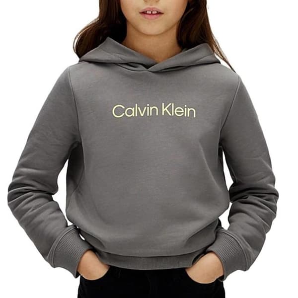 Grå T-shirt Flicka Calvin Klein Jeans Terr
