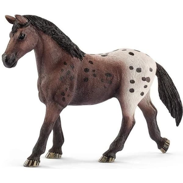 SCHLEICH Appaloosa sto -13861