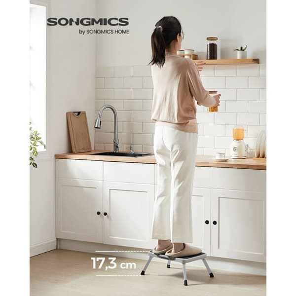 Marchepied Songmics