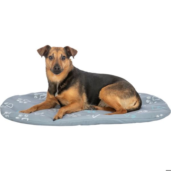Hundkudde Trixie Jimmy - Grå - 70×47 cm